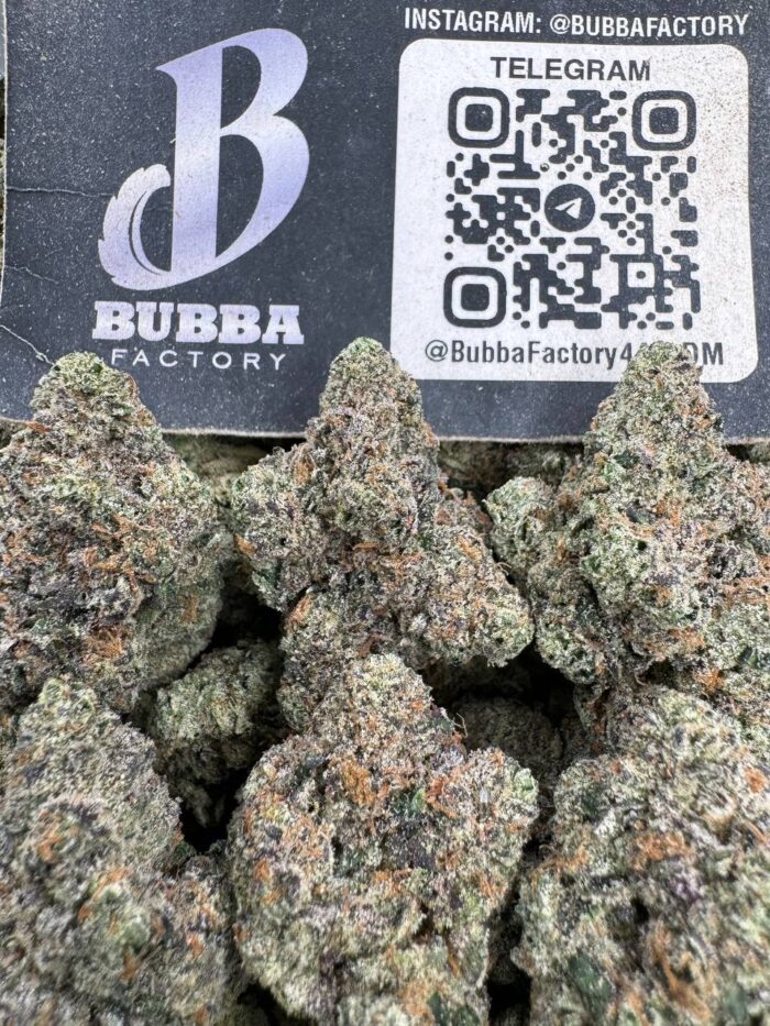 Blue Guava Gelato