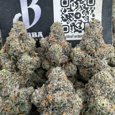 Lemon Cherry Gelato